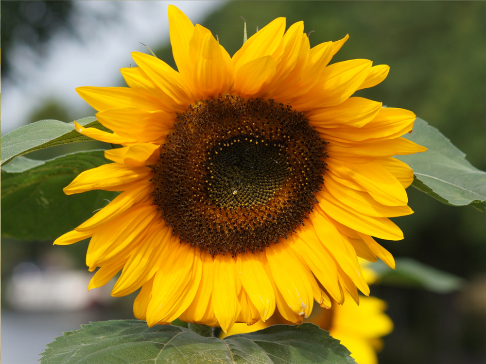 Blog post image